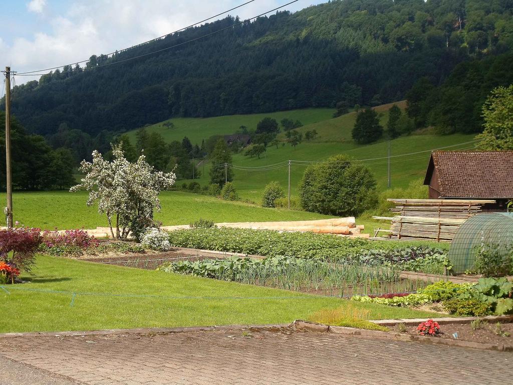 Apartments Zipperhof Лар Екстер'єр фото